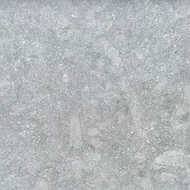 Afbeelding van tegel Ceramic Fossil Gris